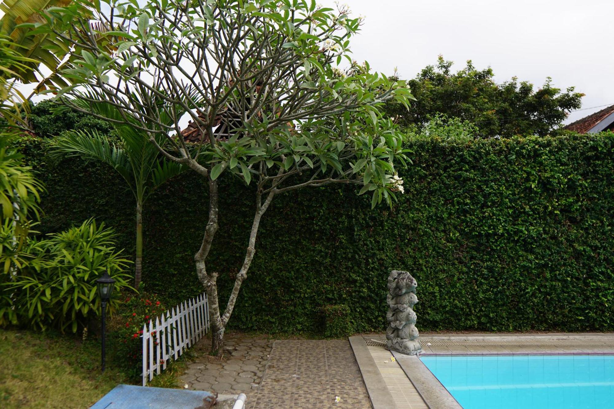 Hotel Tulips Jogjakarta Buitenkant foto